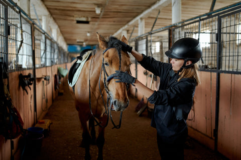 Person working with horse in the aisle of a horse barn