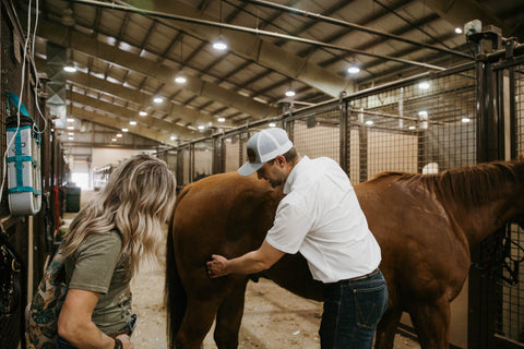 A man and woman in a horse barn: the man is pointing at the hind leg and the woman is looking on