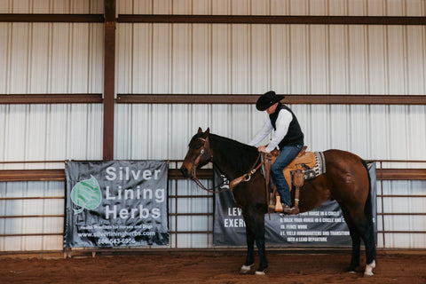 An older gentleman on top of a horse in front of a Silver Lining Herbs sign in a horse practice ring