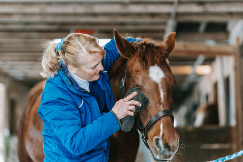 A woman scrubbing out a horse's eyes with a sponge