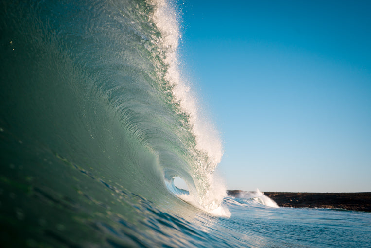 Dirty Habits - Out on Parole - Waves Curl