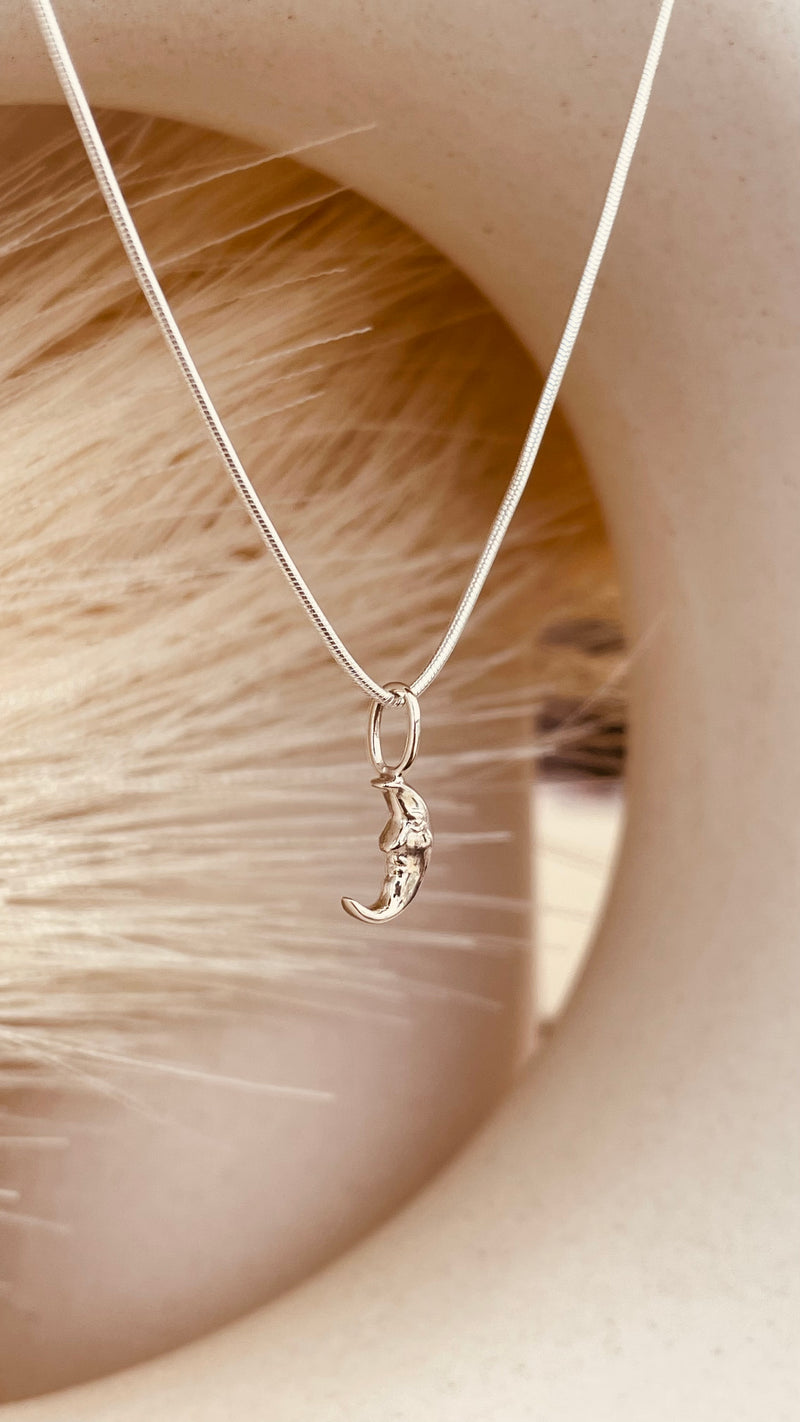 Crescent Moon Necklace with Snake Chain
