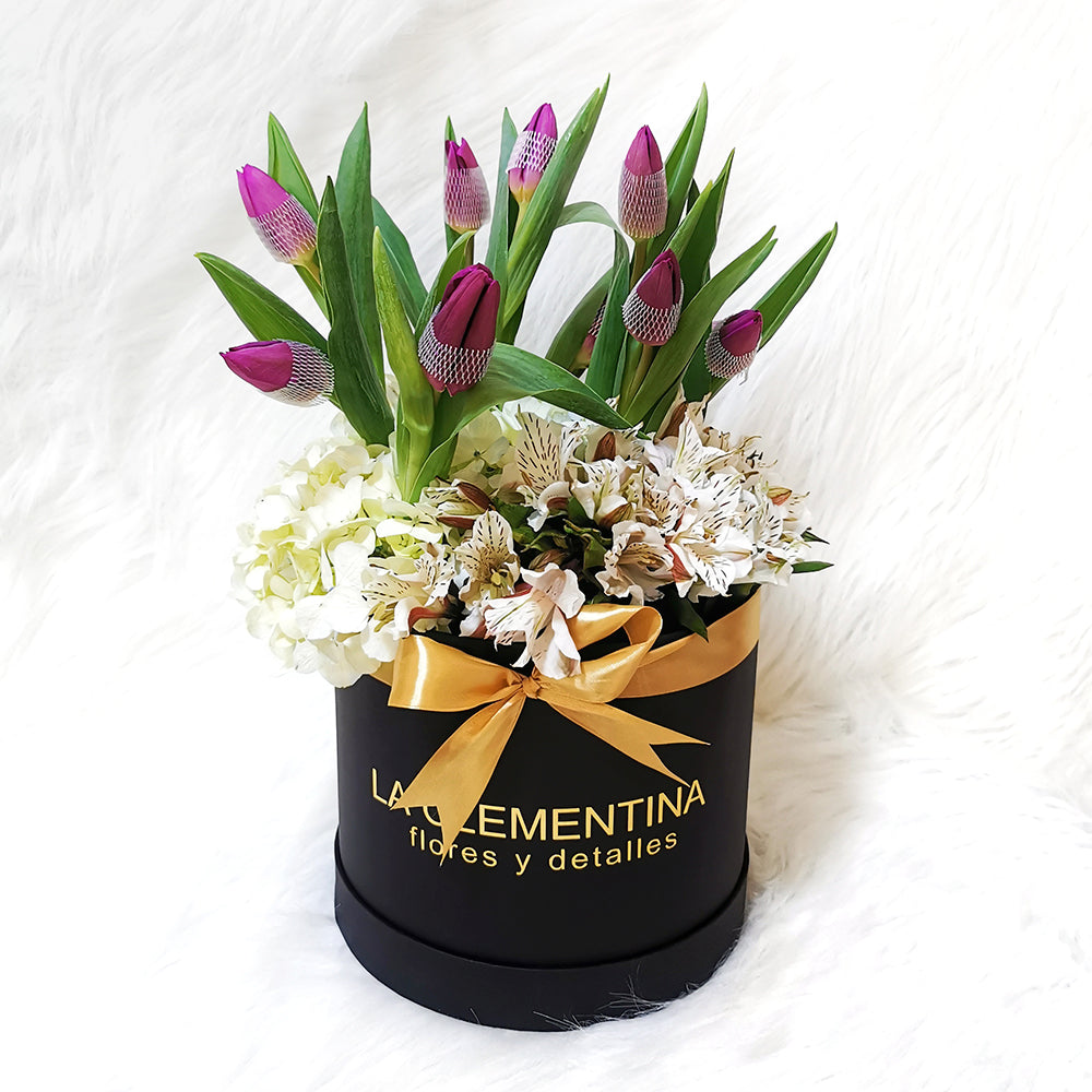 Box 10 Tulipanes – La Clementina Floristería