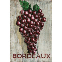 Red grape bunch from Bordeaux