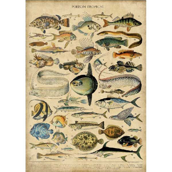 Lake Game Fish, Canvas Tapestry, Vintage