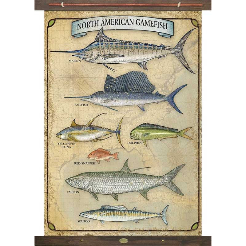  Ambesonne Fishing Tapestry, Retro Fishing Love Theme with  Goldfish Herring Bream Bass Salmon Image, Wide Wall Hanging for Bedroom  Living Room Dorm, 60 X 40, Multicolor : Home & Kitchen