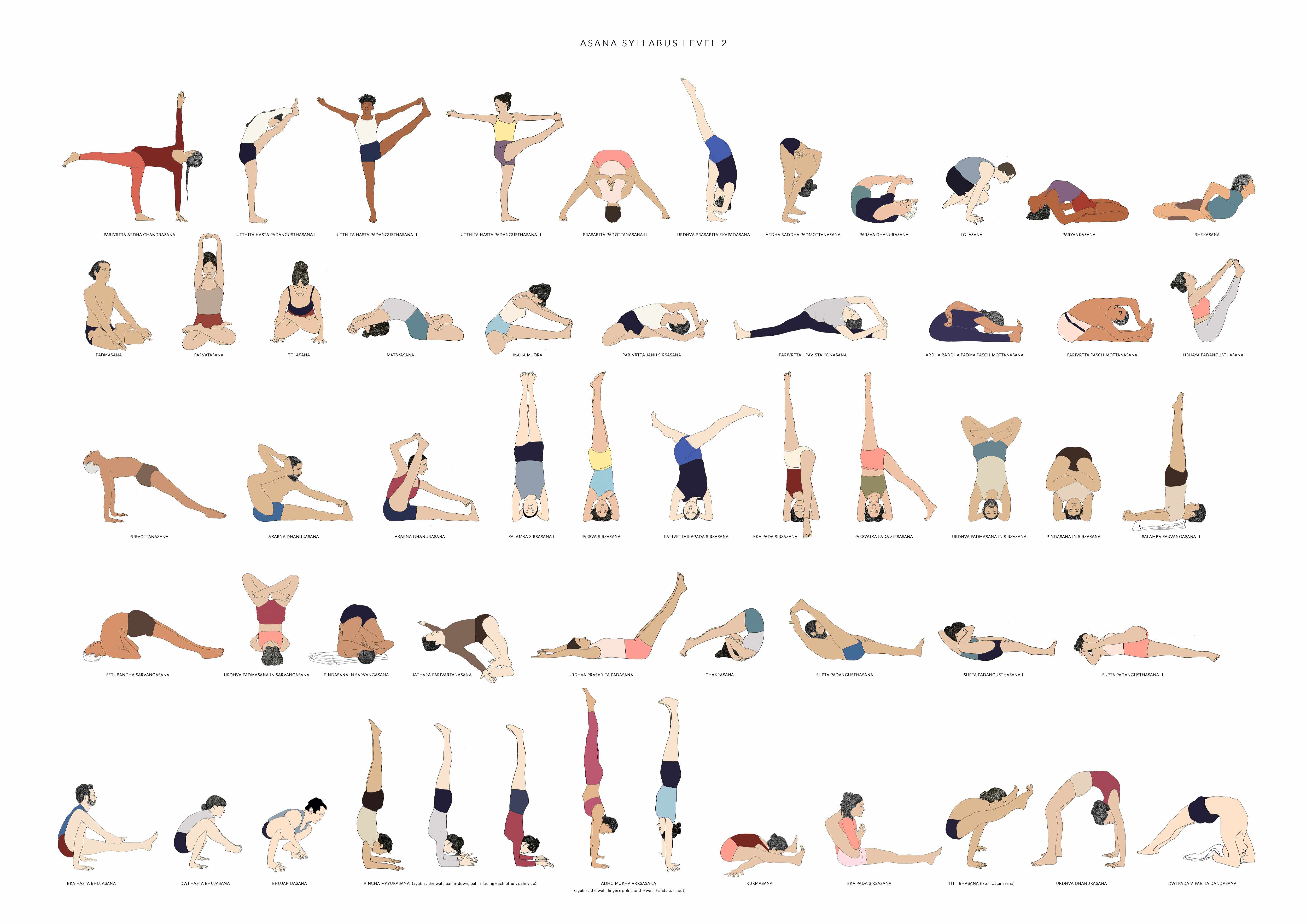 The Extended Chair for Yoga: A Comprehensive Guide to Iyengar Yoga Practice  with a Chair - Eyal Shifroni