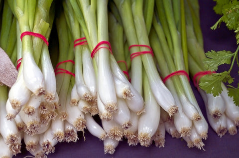 Scallions