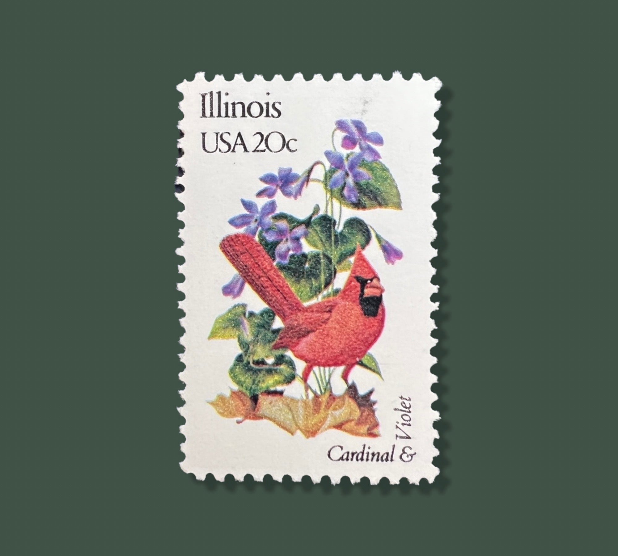 25 Vintage Wisconsin State Flower & Bird Stamps - Milwaukee 