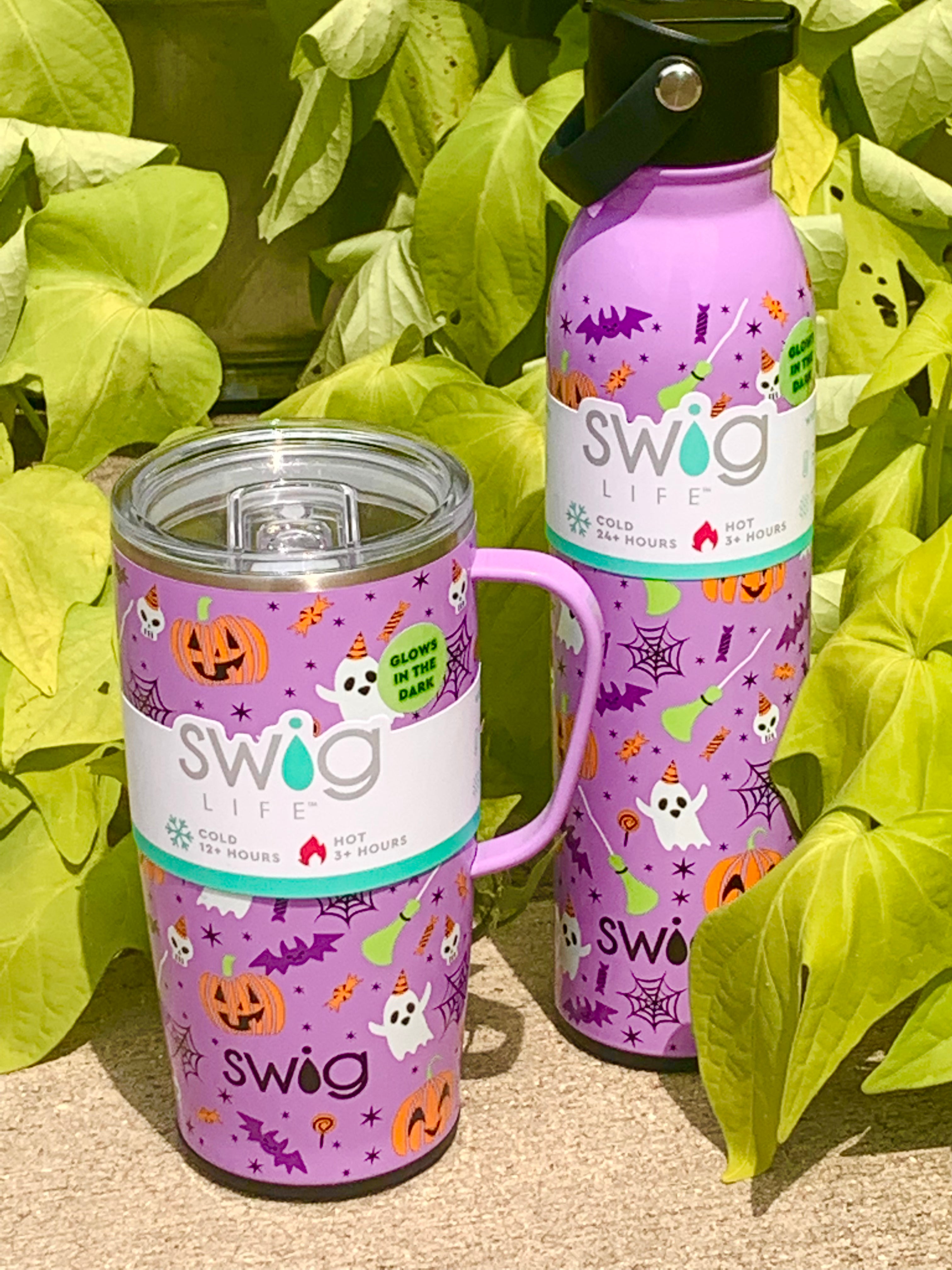 Swig Hocus Pocus + Purple Reusable Straw Set