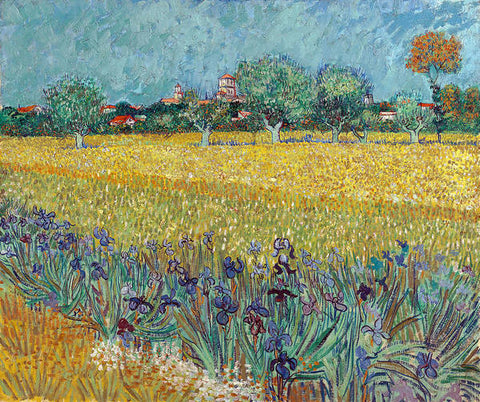 Field with Irises near Arles - May 1888