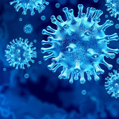 Coronavirus