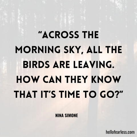 Across the morning sky, all the birds are leaving. How can they know that it’s time to go?