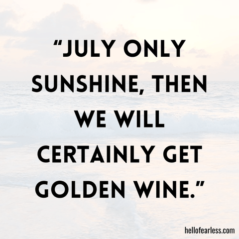 Fun July Quotes To Joy In Warm And Carefree Living