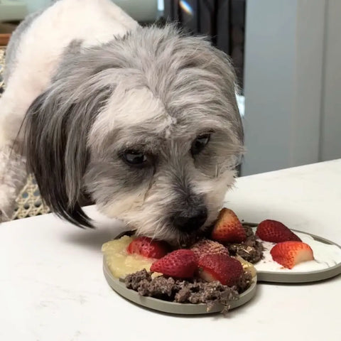 Berries and Cream Lick Mat for Dogs