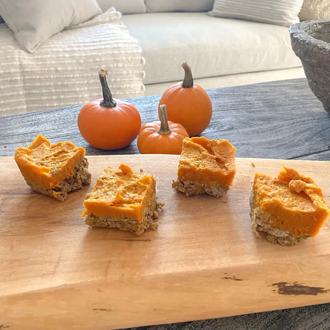 turkey pumpkin squares