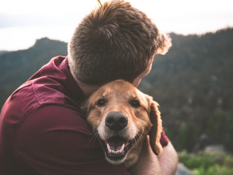 Dogs can help with mental health
