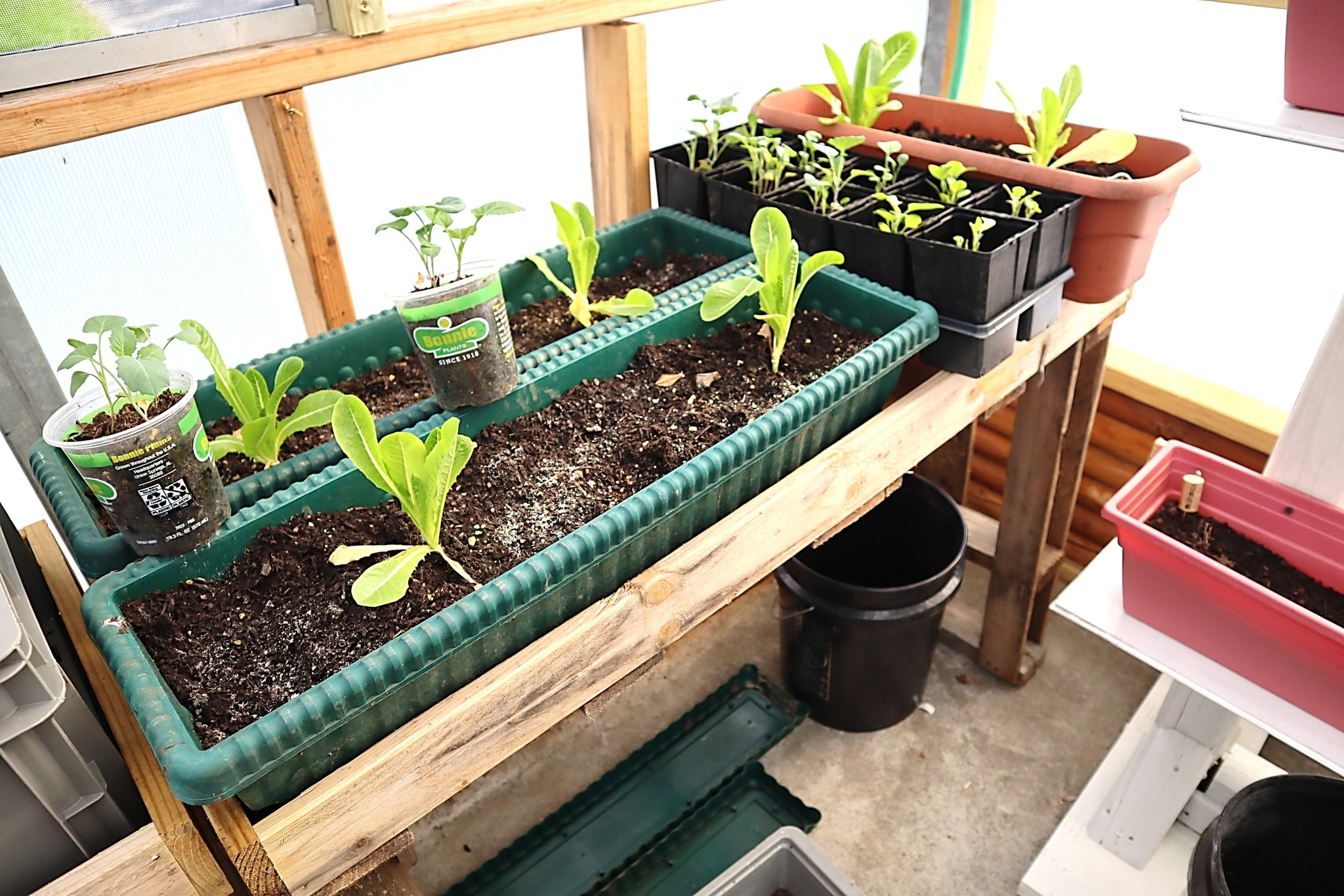 AK Community Greenhouse | Atlantic Knife Go Green Initiative Update