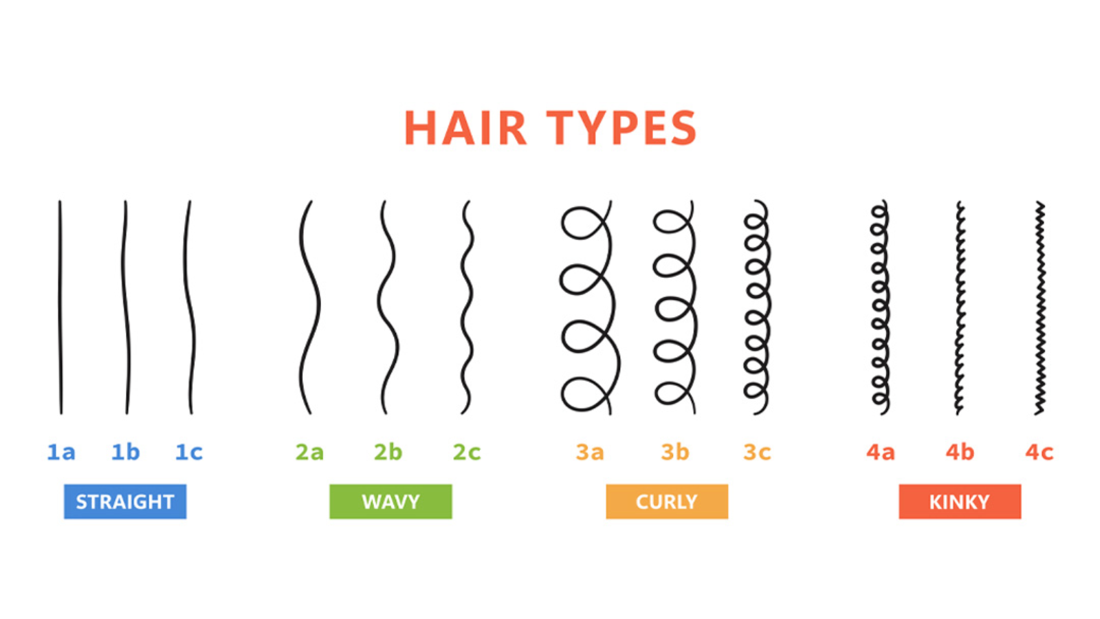 4 main types of hair types: Which one is your hair type?