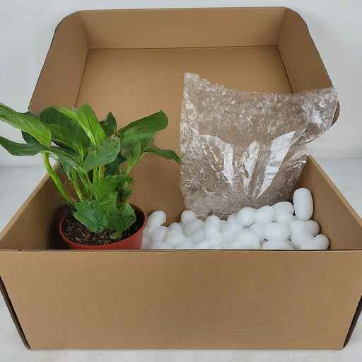 plants packaging materials
