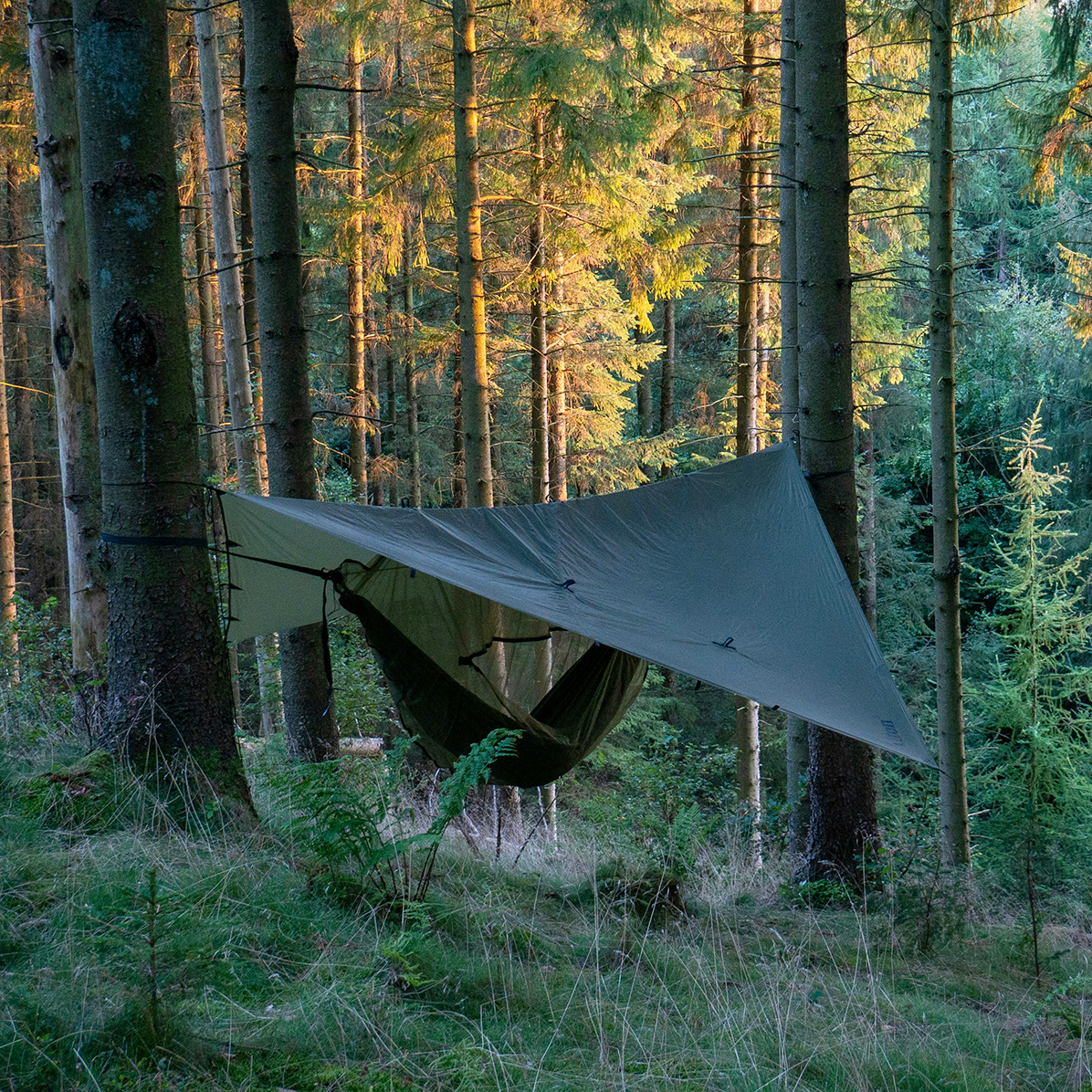 tents-and-shelter
