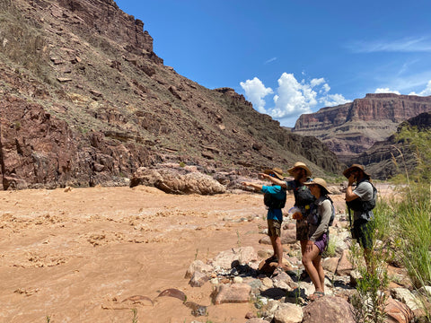 Scouting Bedrock Rapid in the Grand Canyon. 