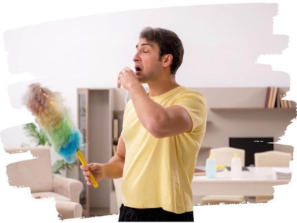 D'où vient toute la poussière dans votre maison ? – Protech Allergies