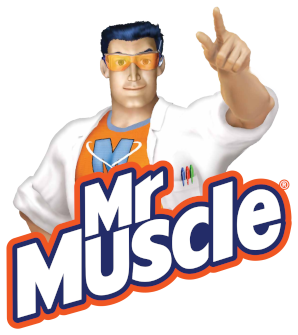 Mr Muscle products sold at JDS DIY