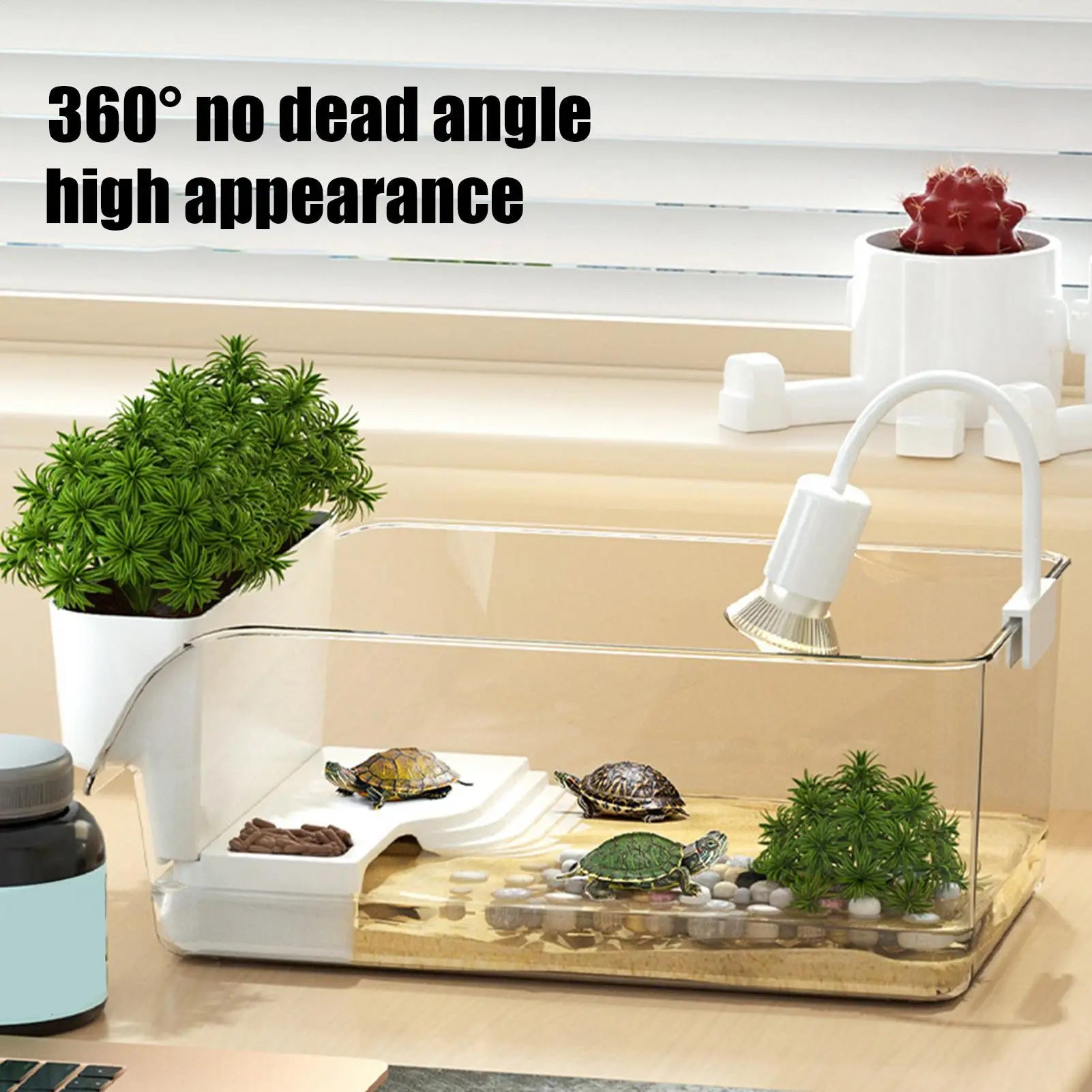 Water and land areas