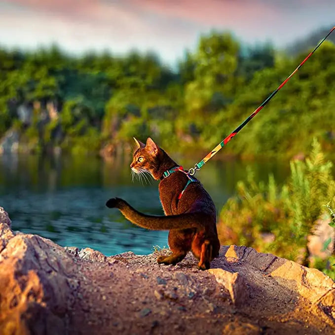 Product Specifications