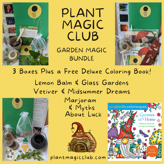 Plant Magic Bundle 2 - both Ebooks (Natural Soap Color AND Natural Soap  Color - Plant Magic, Video and Recipes and Infusion and Soap Batch record!