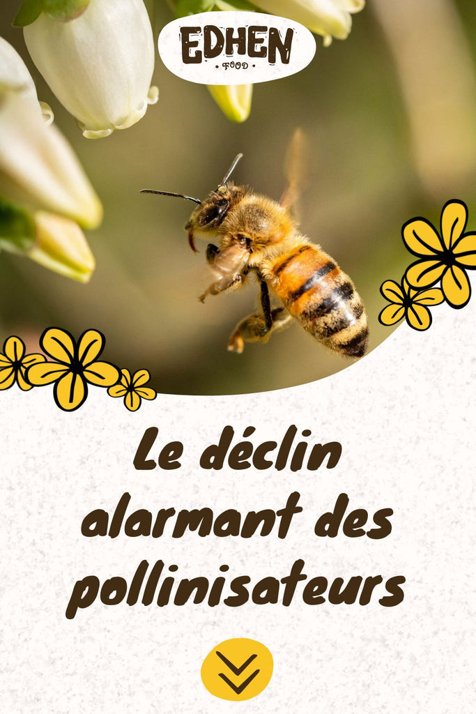 La disparition des abeilles, un danger pour la biodiversité | Pourquoi les pollinisateurs sont-ils indispensables à l'environnement ? Conséquences et solutions - EDHEN FOOD