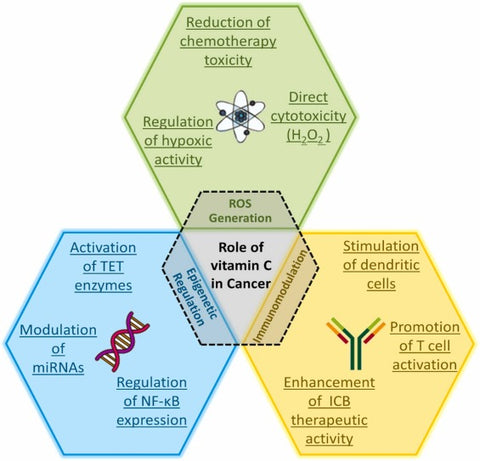 El rol de la vitamina C en cancer