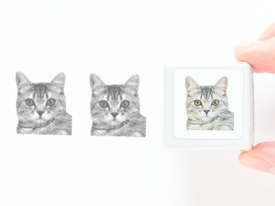 Real photo stamp -Munchkin Cat Hiroshi