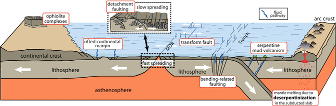 Formation & Characteristics of Serpentine Rock Serpentinization