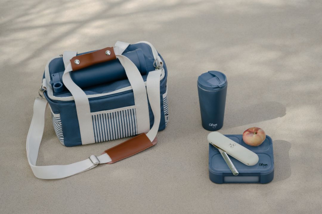 Insulated picnic bag