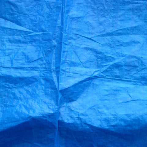 Tarp