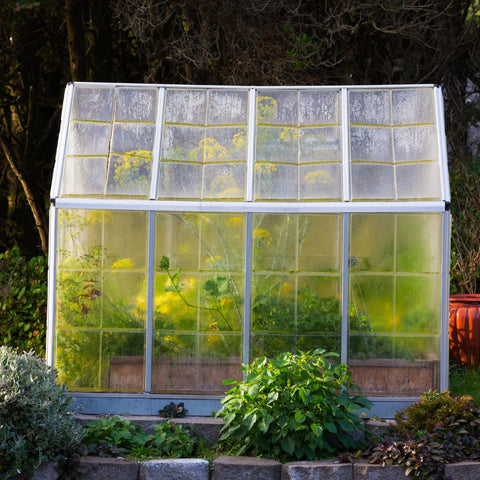Creating a Mini Greenhouse
