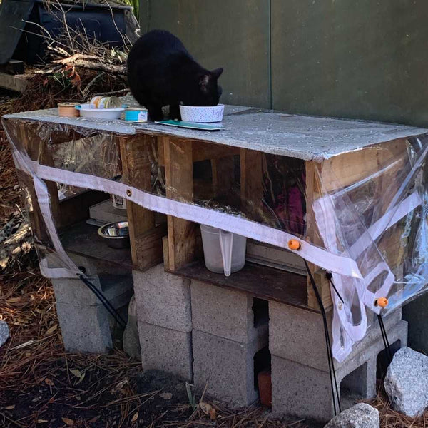 Close up of a 20 mil clear tarp used for feral cat sanctuary to provide shelter from the elements