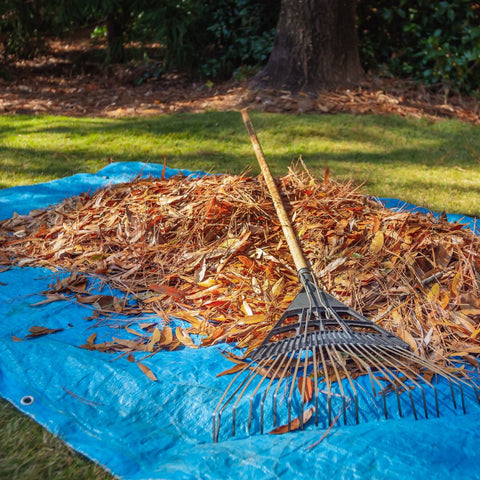 Practical Applications of Tarps in Autumn