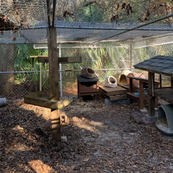 20 mil clear tarps used for feral cat sanctuary to provide shelter from the elements