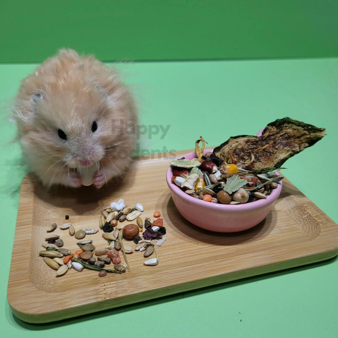 premium syrian hamster food