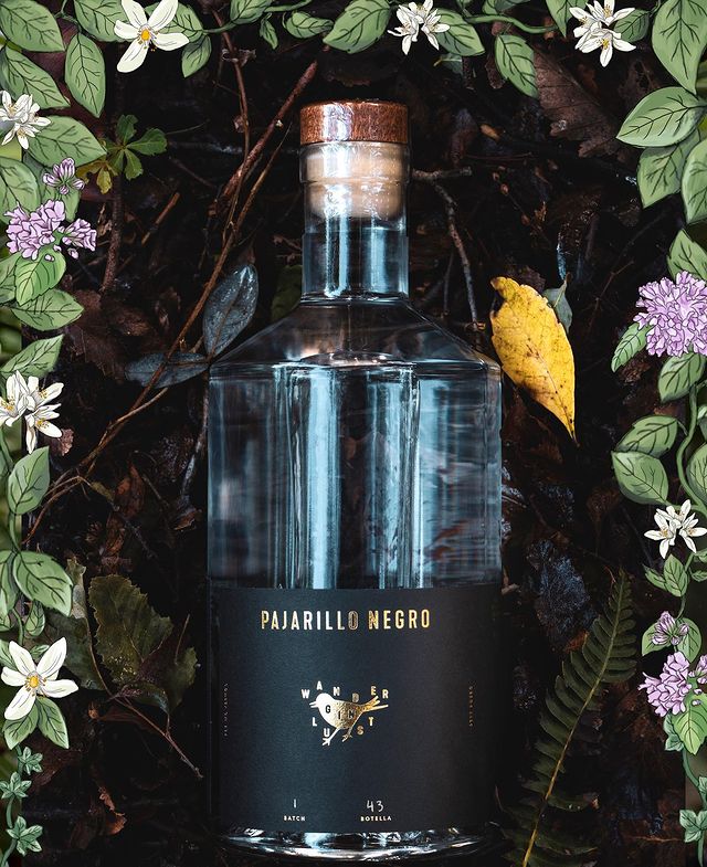 Gin Pajarillo Negro + 4x Agua tónica Uncommon | Gin Chileno Portal Voy