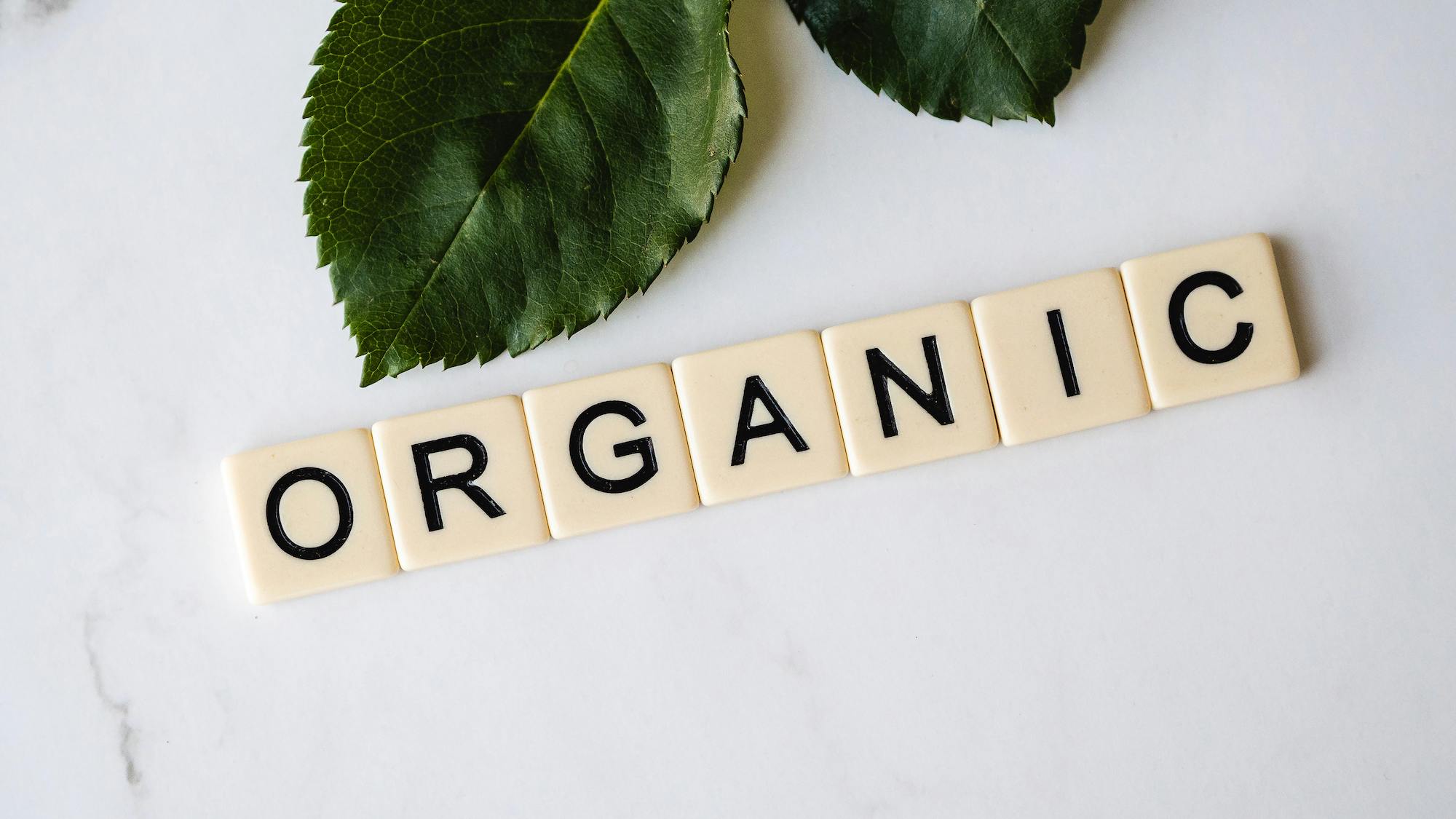 Organic Definition | Sustainable Fashion Terms Glossary