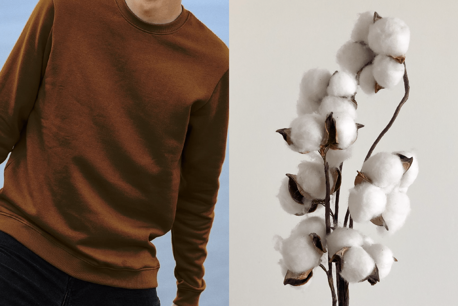Why you should wear cotton clothing