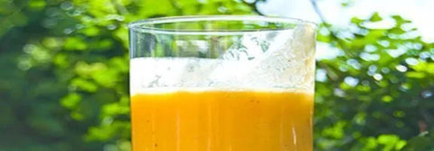 Classic Orange Cream Cycle Yogurt Protein Shake