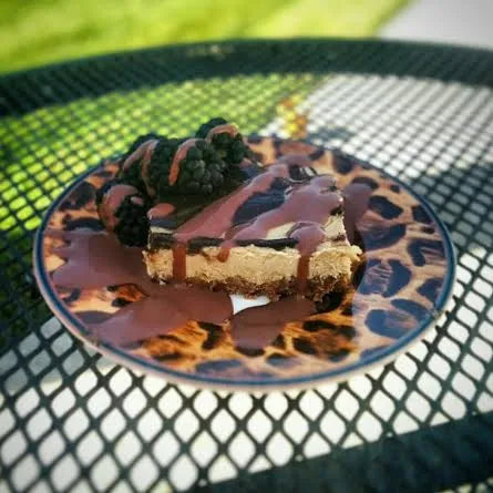 VeganSmart Chocolate Swirl Cheesecake Recipe