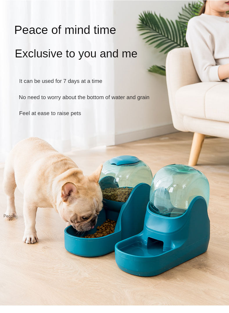 Automatic Feeder and Waterer for Dogs and Cats - Automatic Food and Water Supply