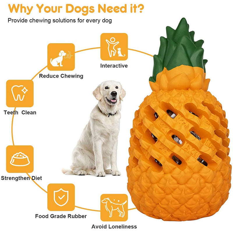 Chewing solutions for every dog