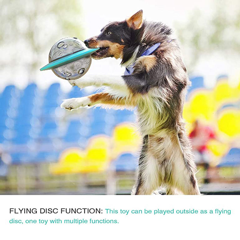 Flying Disc Function